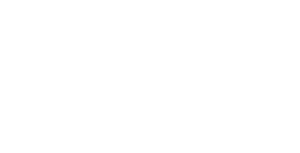LEX-300x153